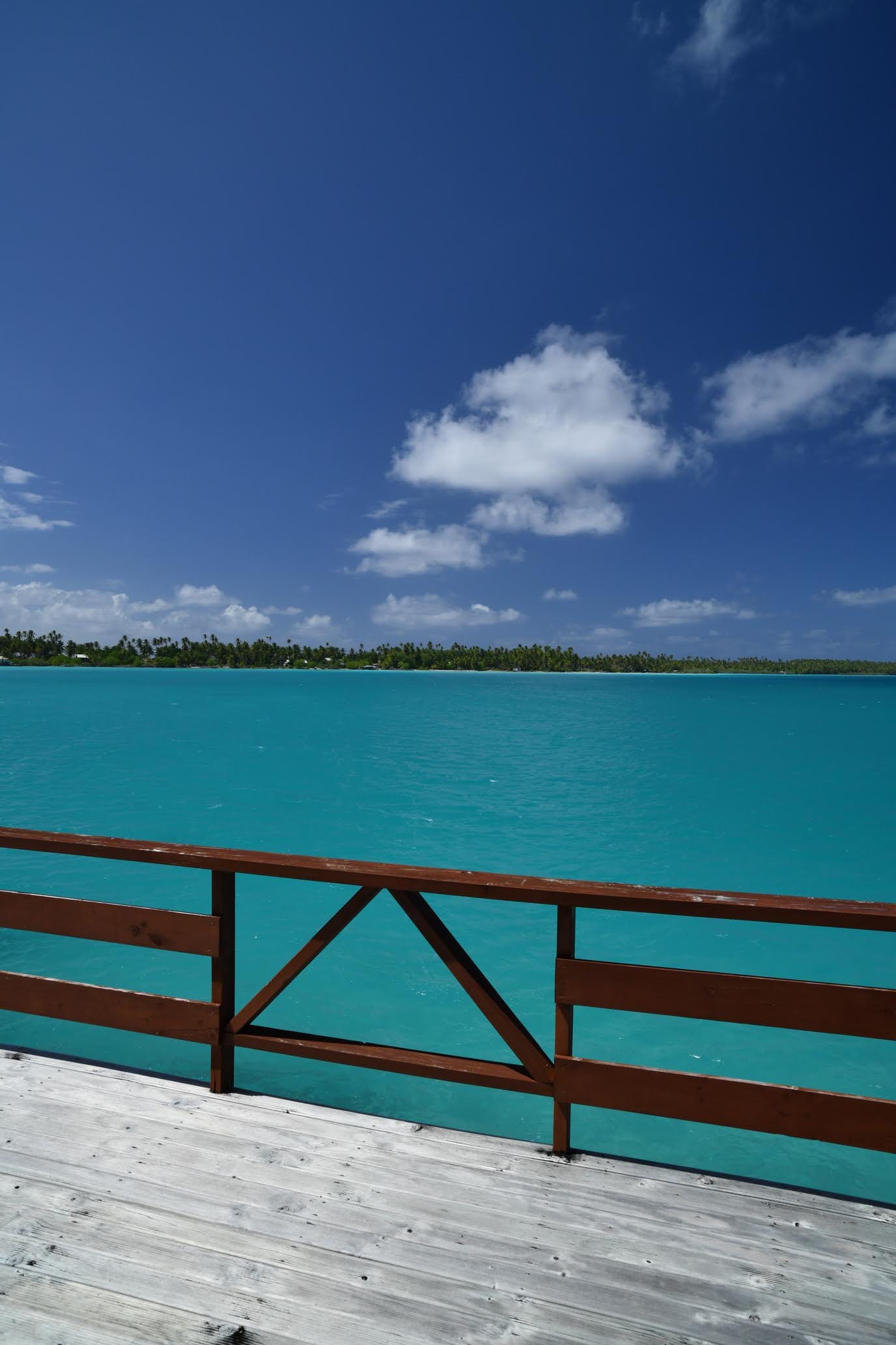 Surmise that is the real turquoise