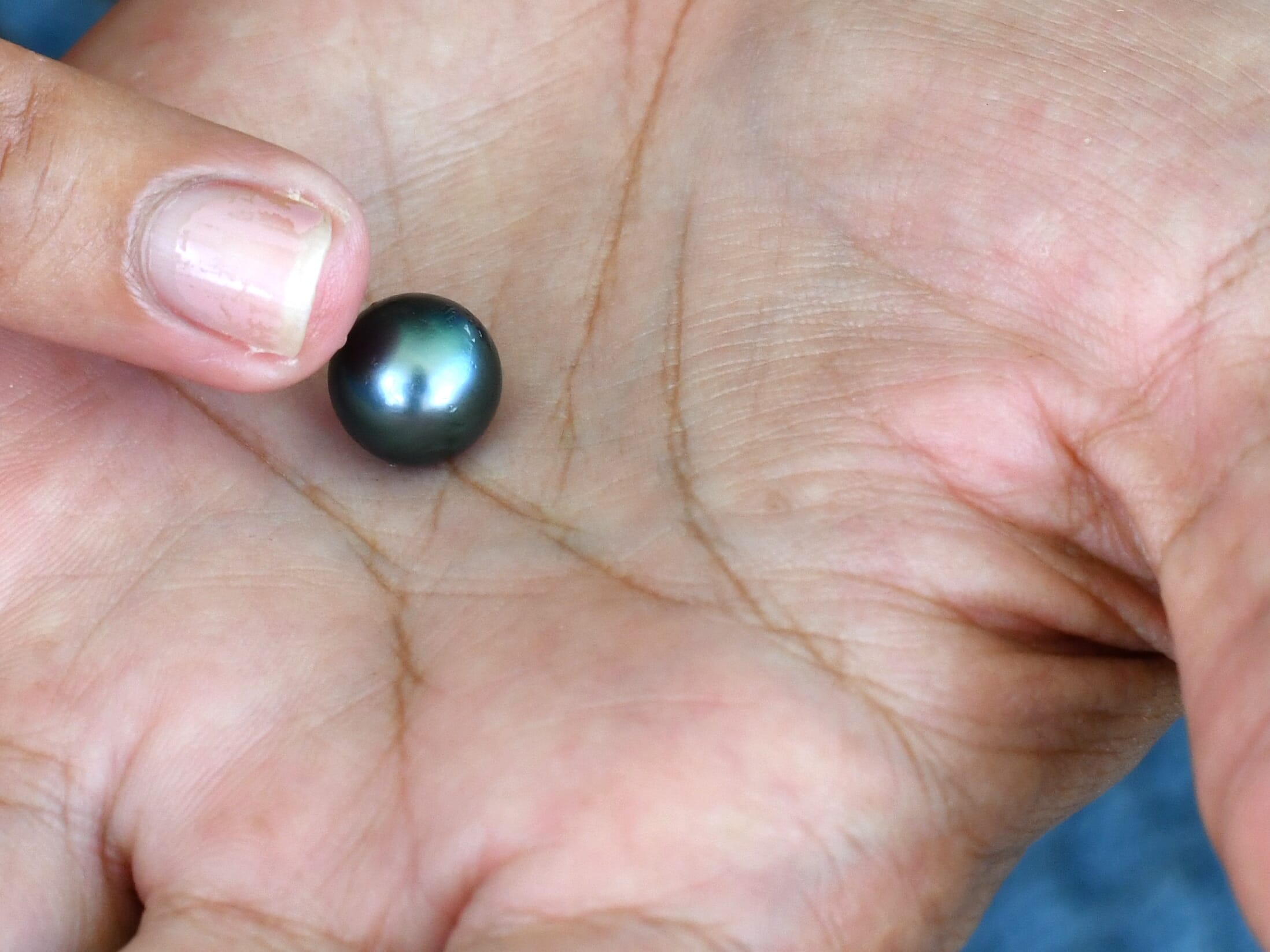 Very high grade pearl extracted on the Kaoa