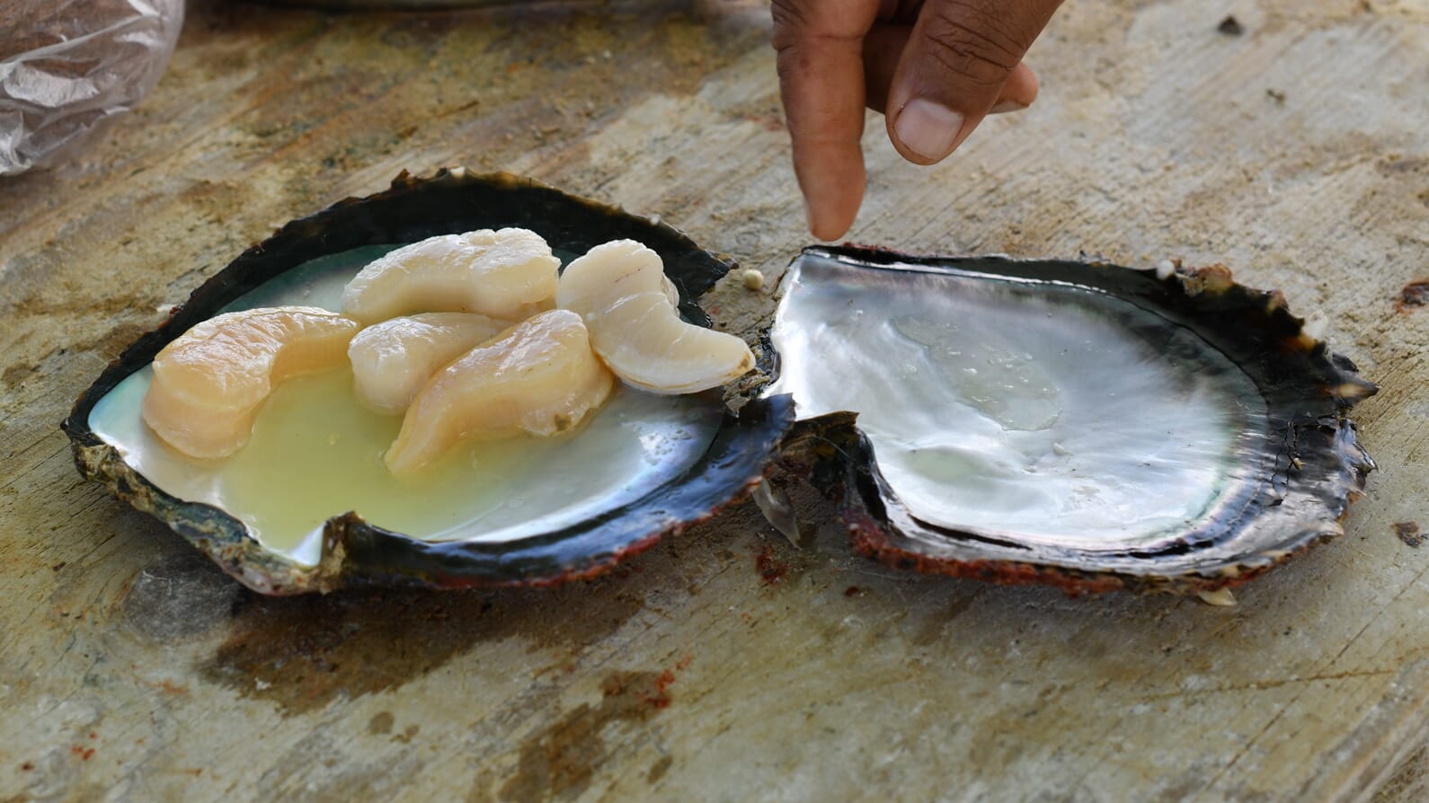 Black Pearl Oyster - Taste bud explosion both in terms of flavour and texture