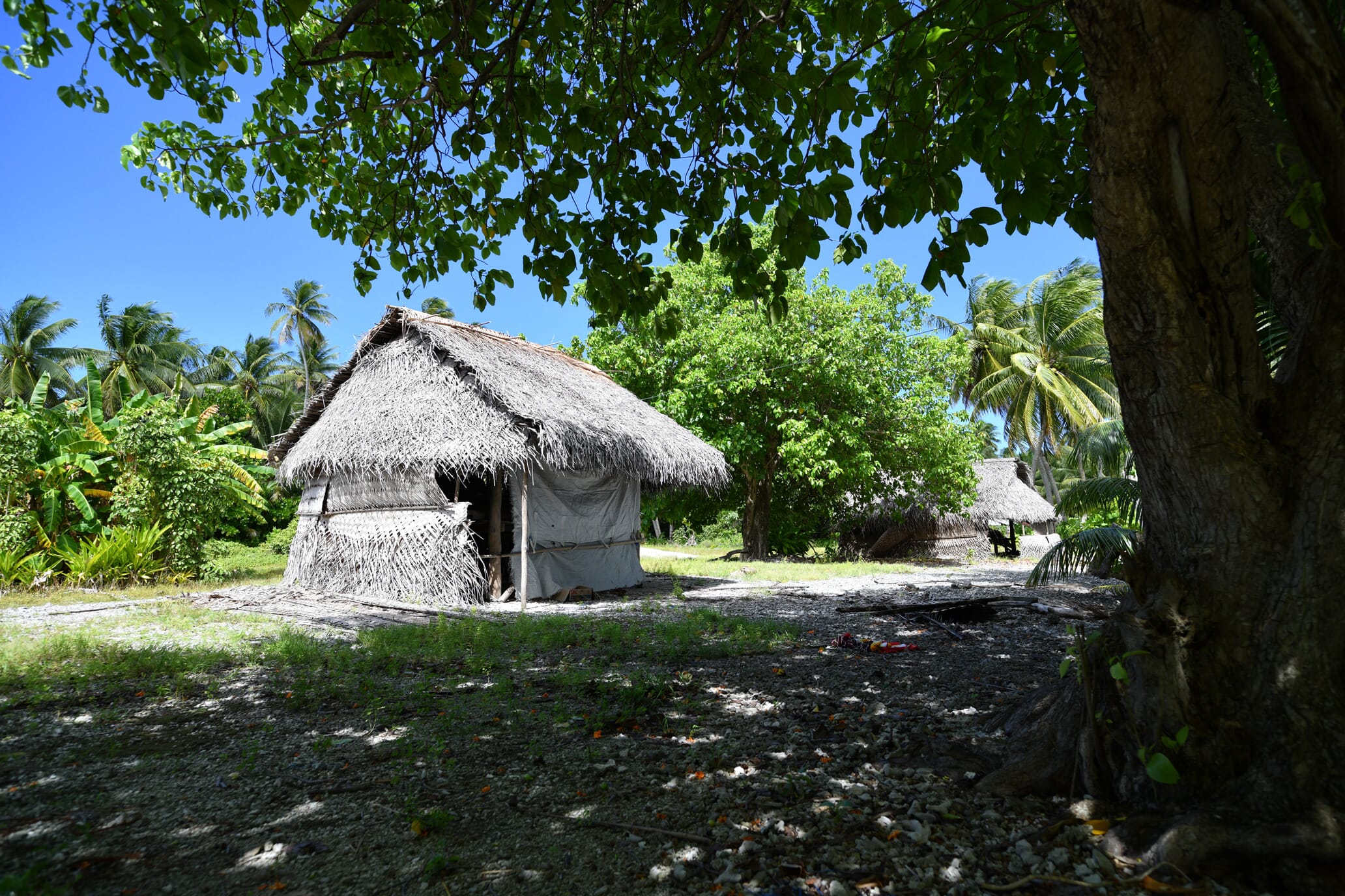 Airport Motu Seasonal Houses