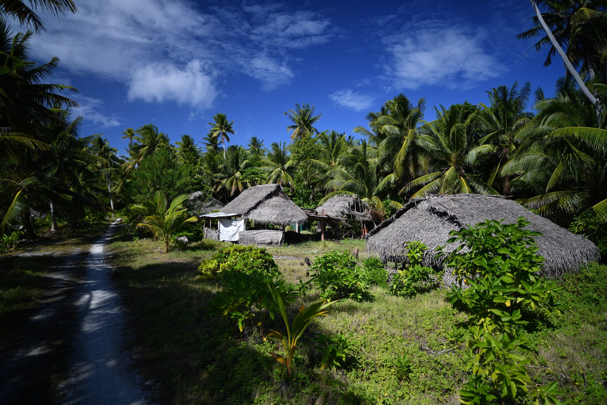 Wale Seaside seasonal huts