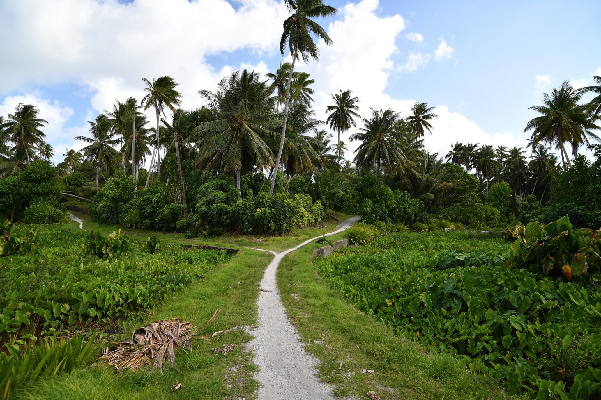 Pukapukan Taro patches carved from the Atoll over centruries