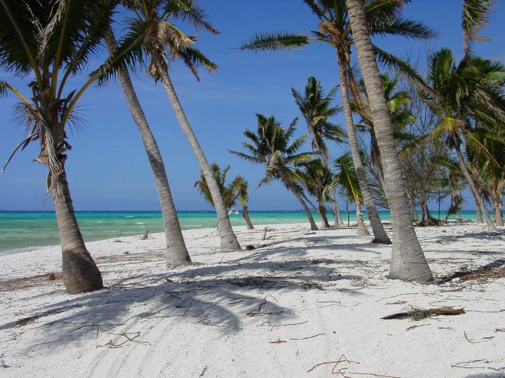 Beach at Palmerston